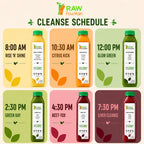 RAW Fountain Juice Cleanse Original Detox Cleanse