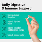 Dr. Matthew Prebiotics and Probiotics 50 Billion - 30 Capsules - image 2