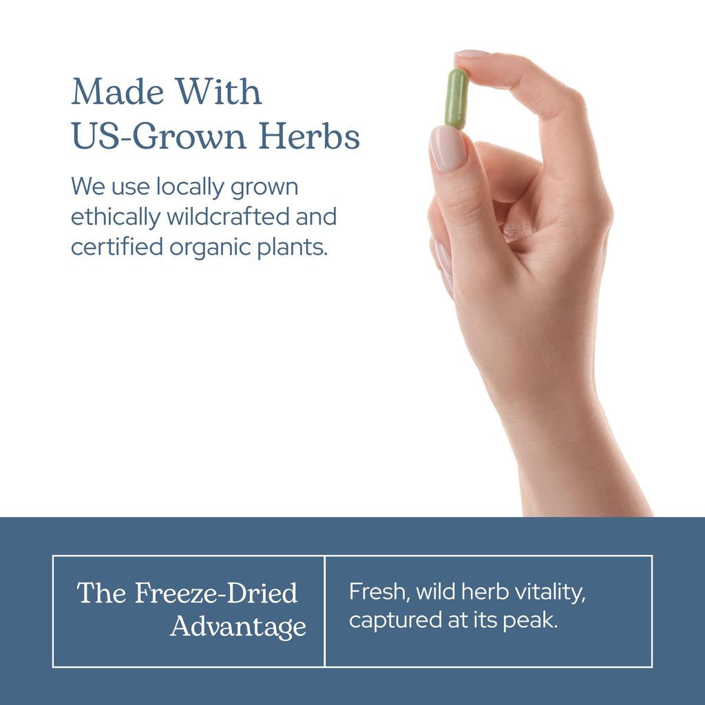 Eclectic Institute Organic Dandelion Leaf Capsules - 90 Count - image 7