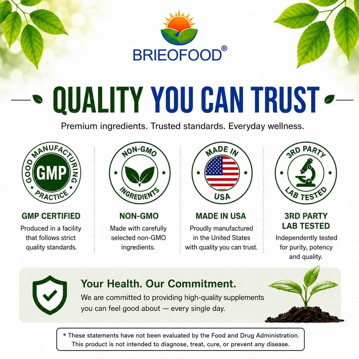Brieofood Broccoli Sprout Extract 1000 mg - 240 Capsules - image 7