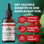 FLORIDA HERBS Goldenseal Tincture Organic Herbal Extract - 2 fl oz - image 3