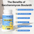 Trehealtt Saccharomyces Boulardii 200 Billion CFU Probiotic - 60 Capsules - image 4