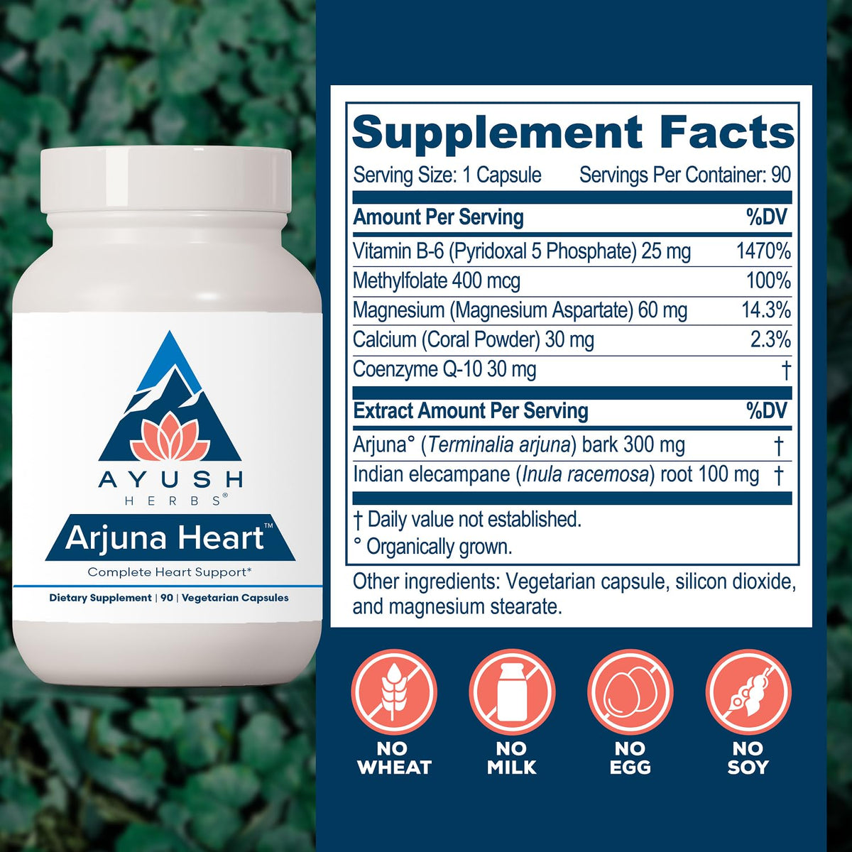Ayush Herbs Arjuna Heart Natural Arjuna - 90 Vegetarian Caplets - image 3