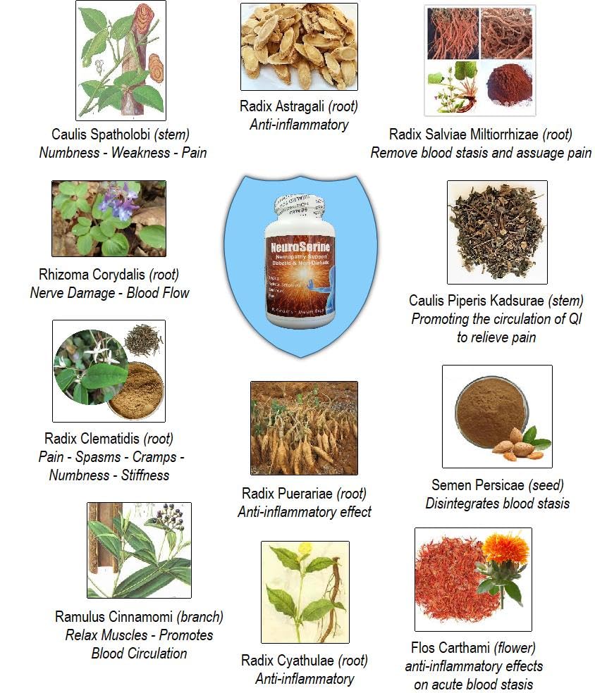NaturalyPure NeuroSerine Nerve Support Formula - 180 Vegan Capsules - image 4
