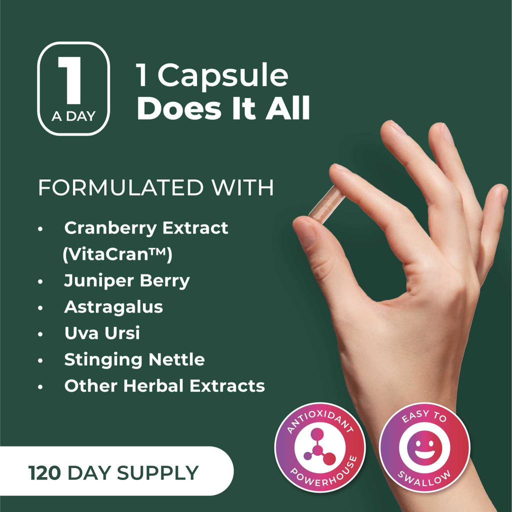 PurePremium Kidney Support Supplement - 120 Capsules - image 6