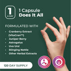 PurePremium Kidney Support Supplement - 120 Capsules - image 6