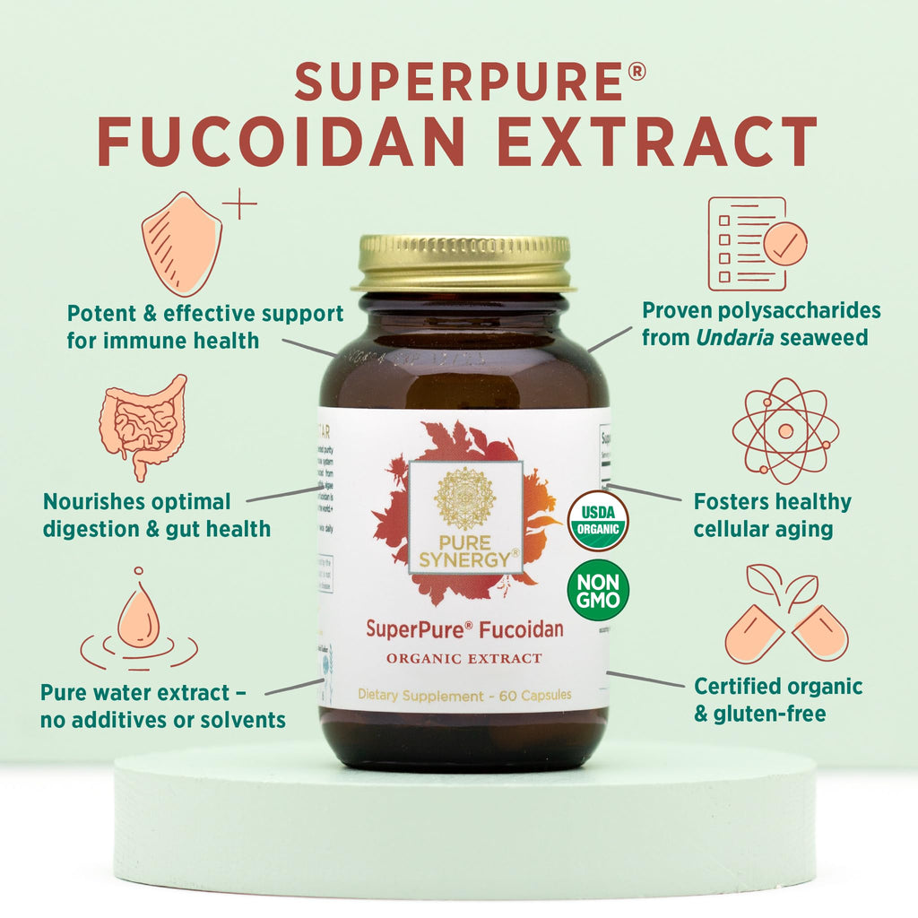 PURE SYNERGY SuperPure Fucoidan Extract - 60 Capsules - image 3