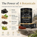 BIYODE Pure Himalayan Shilajit Gummies: Rich in Ashwagandha