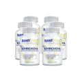 Research Verified Ashwagandha