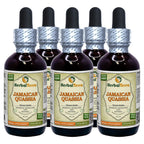Herbal Terra LLC Jamaican Quassia (Picrasma Excelsa) Tincture