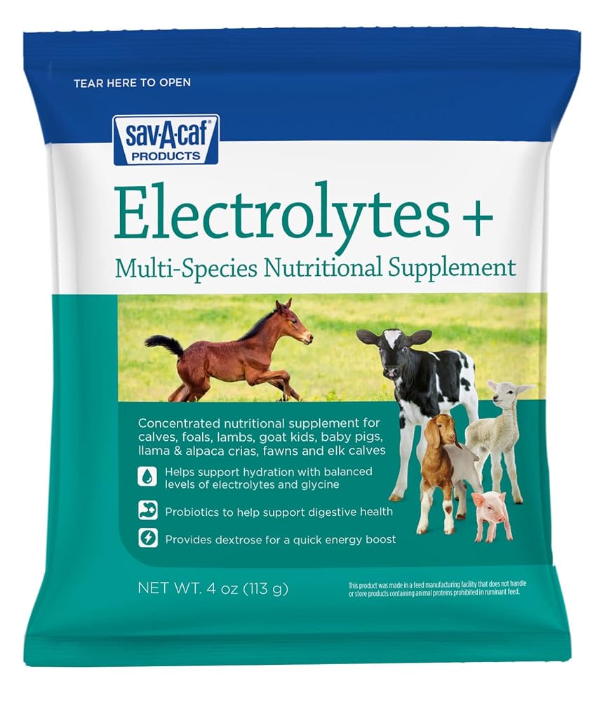 Sav-A-Caf Electrolytes Plus Multi-Species Supplement - 4 oz