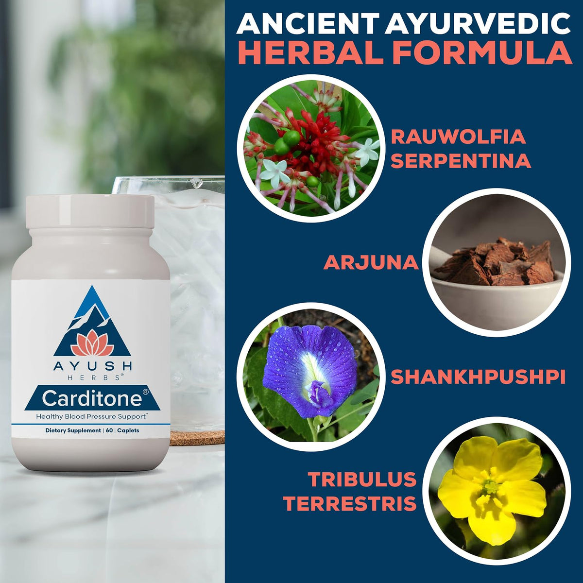 Ayush Herbs Carditone BP Formula Herbal Supplement - 120 Capsules - image 4