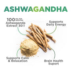 Nature's Nutrition Ashwagandha Gummies for Calm & Immune Support - 60 Gummies - image 3