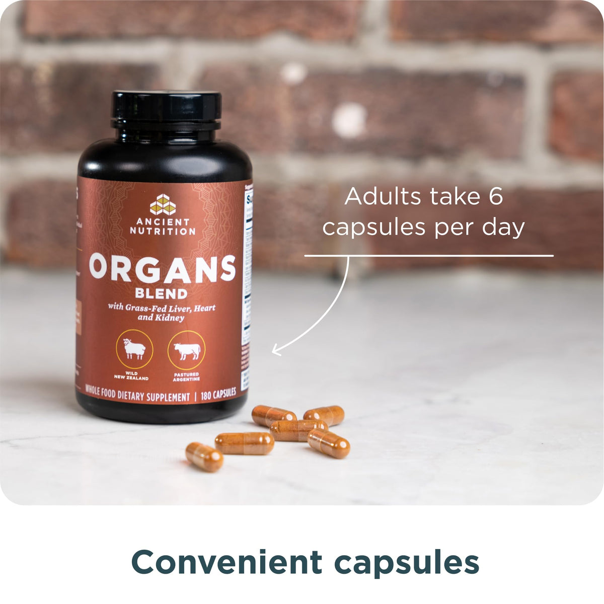 Organ Supplements by Ancient Nutrition