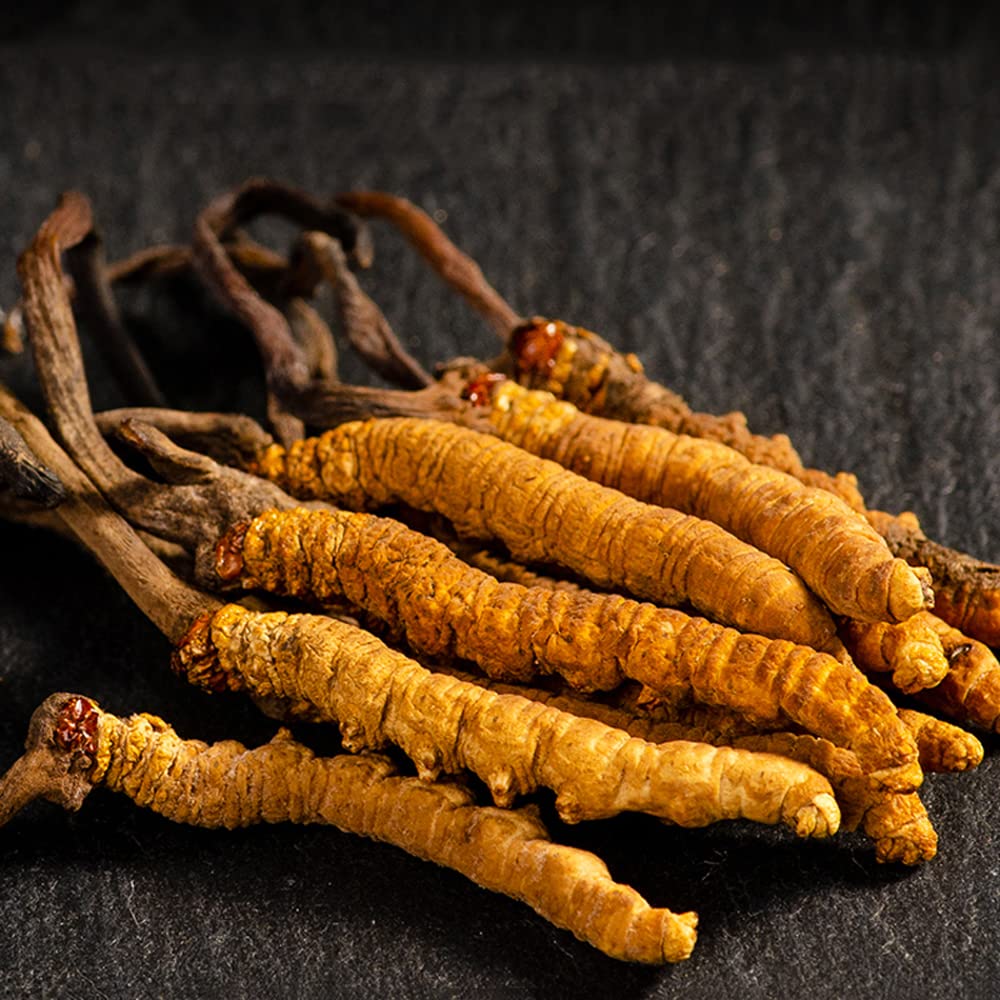 Generic Cordyceps Sinensis Wild Himalayan Whole - 6g - image 4