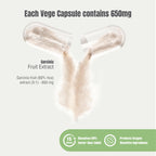 Herbsforever Garcinia Cambogia Extract Supplement - 90 Vegetarian Capsules - image 2
