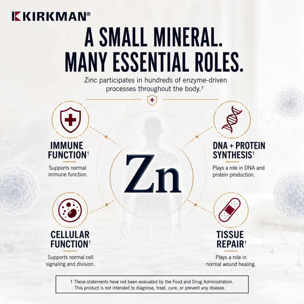 Kirkman Zinc 20 mg Hypoallergenic Mineral Supplement - 250 Vegetarian Capsules - image 3