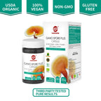 GANOHERB Organic Reishi Mushroom Capsules with 100% Ganoderma Lucidum