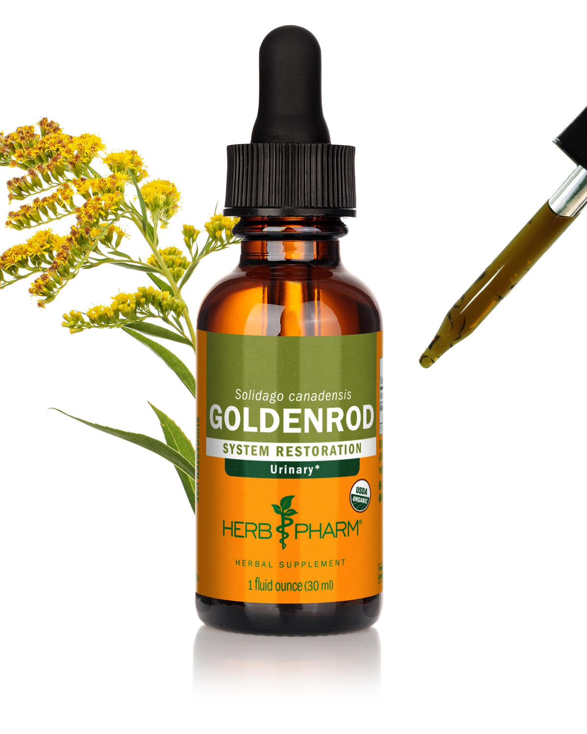 Herb Pharm Goldenrod Liquid Extract for Urinary System Support - 1 Fl Oz