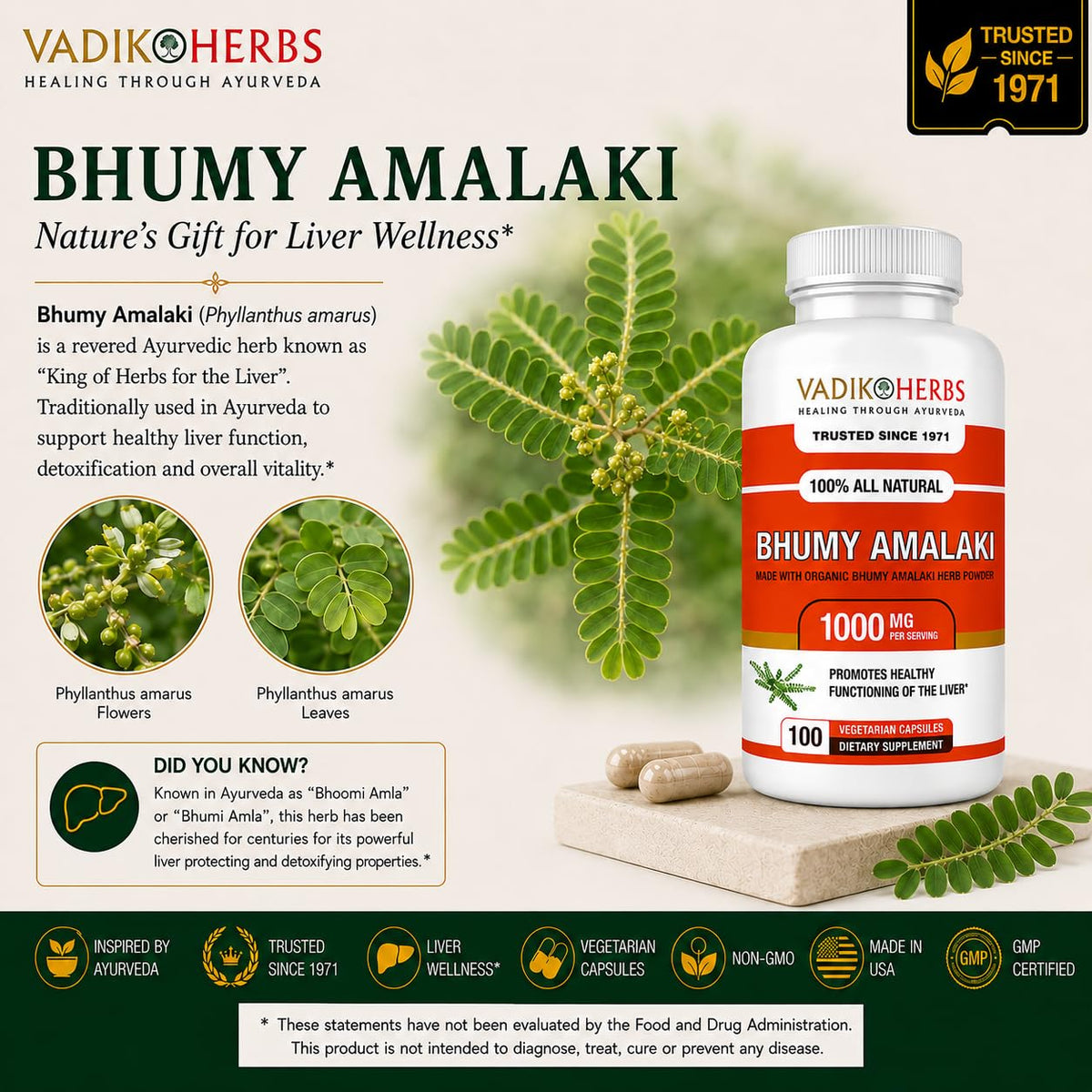 Vadik Herbs Organic Bhumy Amalaki Liver Support - 100 Capsules - image 6