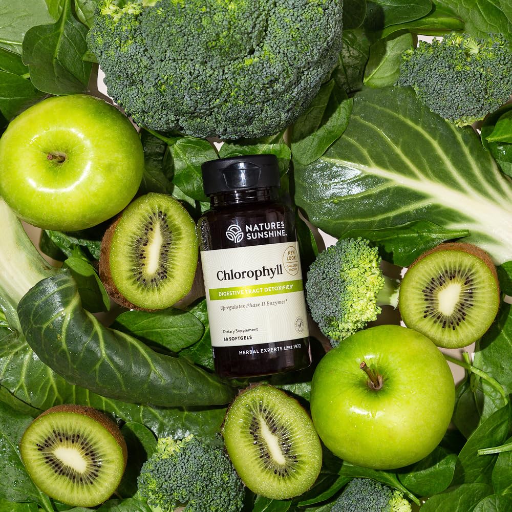 Nature's Sunshine Chlorophyll - 60 Softgels - image 6