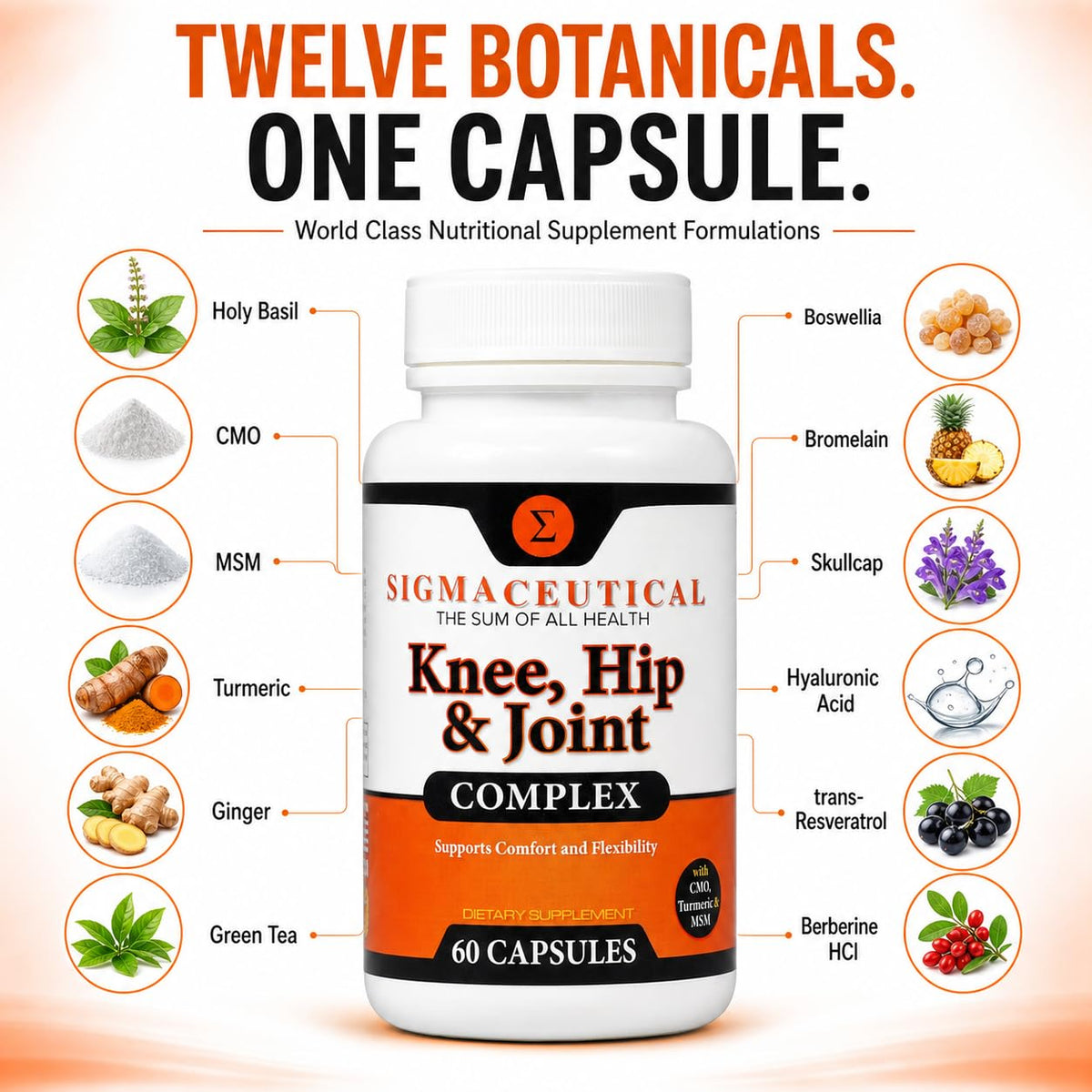 Sigmaceutical Turmeric Boswellia Joint Complex - 60 Capsules - image 3