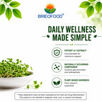 Brieofood Broccoli Sprout Extract 1000 mg - 240 Capsules - image 4
