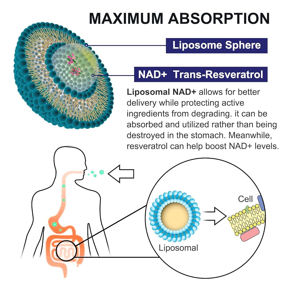 inGreens Liposomal NAD+ Supplement 1800 mg