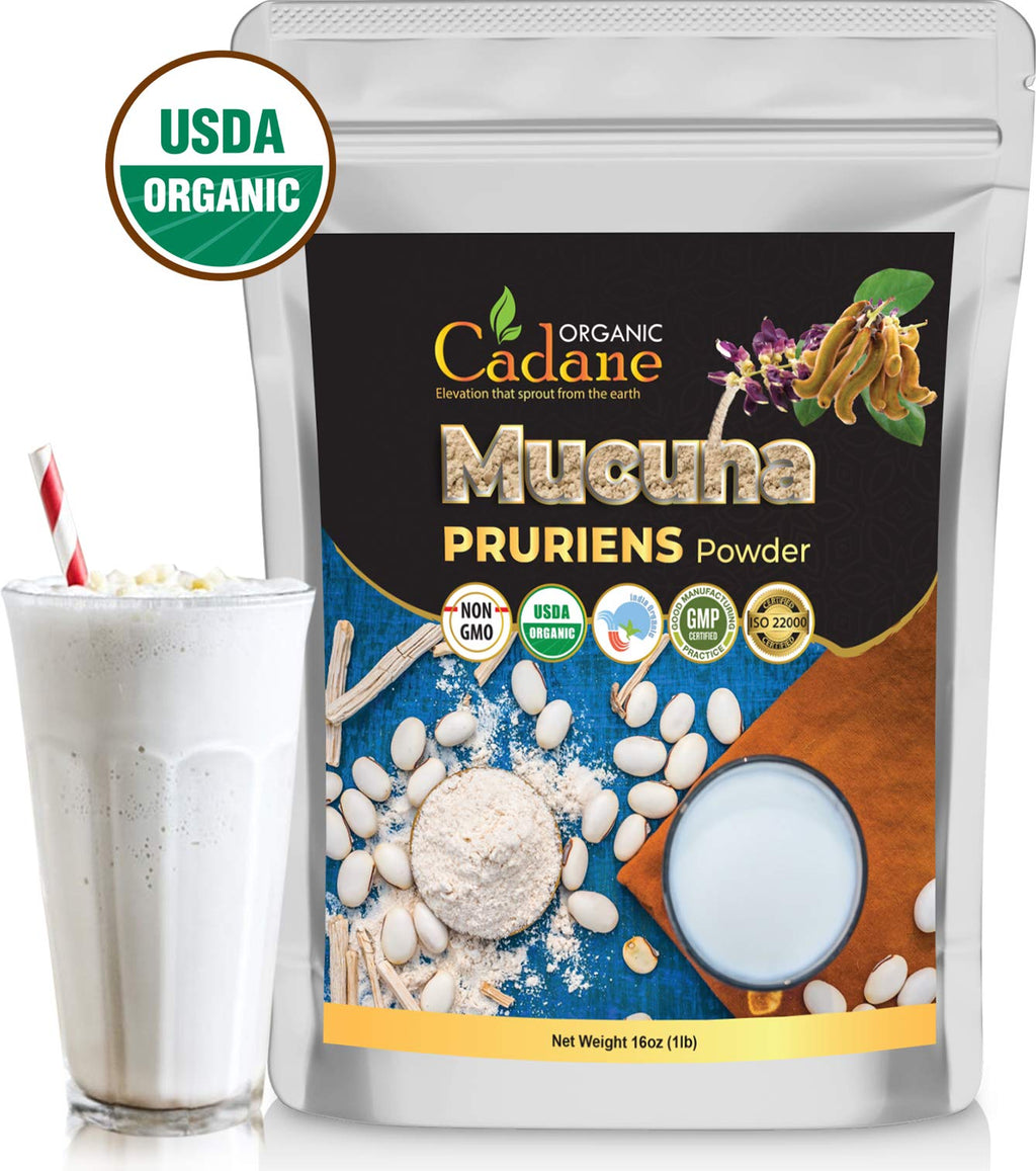 Organic Cadane Mucuna Pruriens Powder for Energy - 1 Pound - image 6