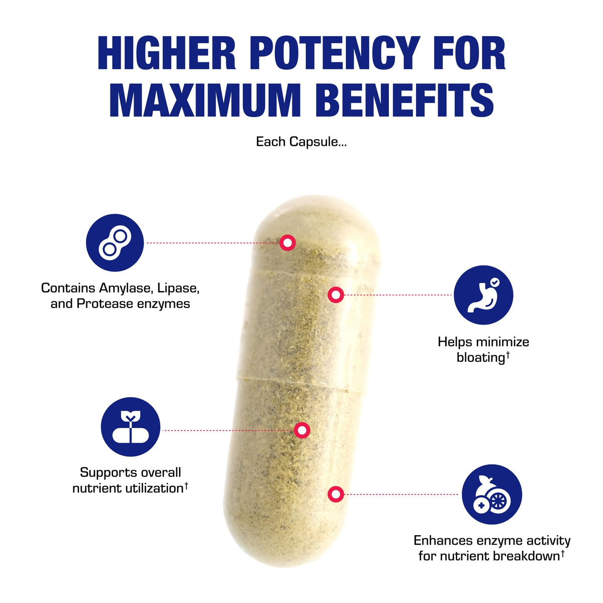 Anabolic Laboratories Multi Digestive Enzymes with Ox Bile - 100 Capsules - image 7