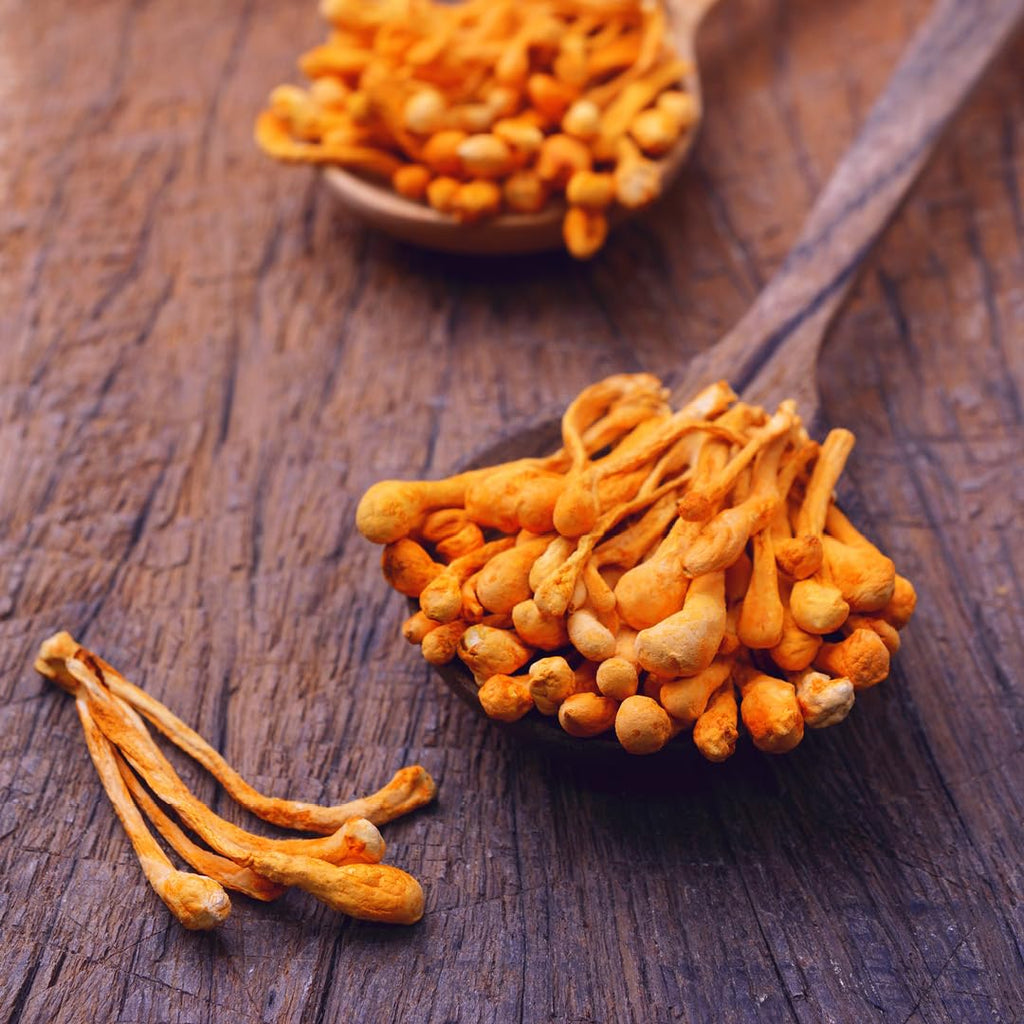 Oregon's Wild Harvest Cordyceps Organic Mushroom - 60 Capsules - image 9