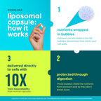 Thinbi Liposomal NAD+ Supplement with Resveratrol & CoQ10 - 60 Capsules - image 5