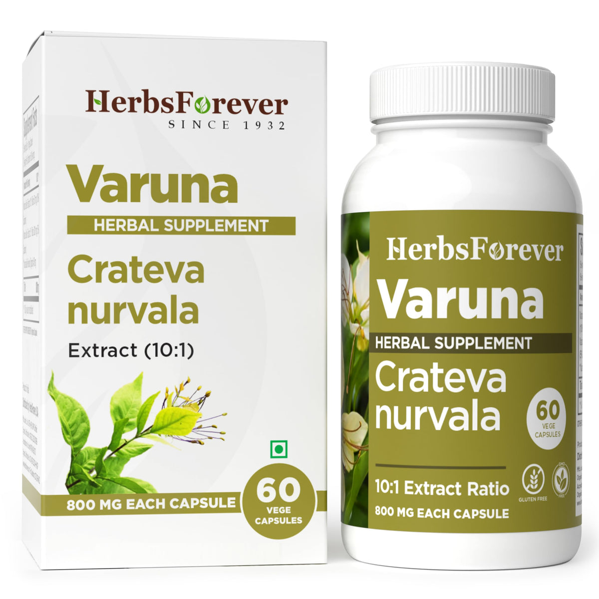 Herbsforever Varuna Extract Capsules for Bladder & Kidney - 60 Capsules - image 4
