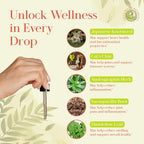 Green Dragon Botanicals LB CORE Protocol Tincture - Japanese Knotweed