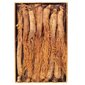 Generic Red Ginseng Roots Whole Root- Red Panax Ginseng Roots Ginseng