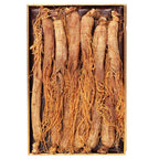 Generic Red Ginseng Roots Whole Root- Red Panax Ginseng Roots Ginseng