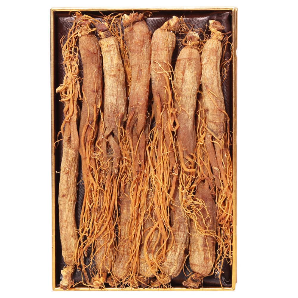 Generic Red Ginseng Roots Whole Root- Red Panax Ginseng Roots Ginseng