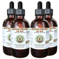 Hawaii Pharm Ze Xie Rhizome Alcohol-Free Extract - 4 fl oz (Pack of 4)