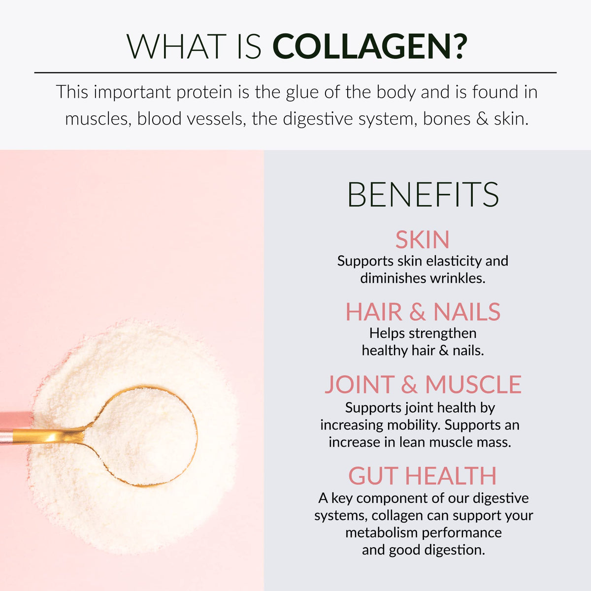 Alaya Naturals Multi Collagen Powder - 5 Types - 13.55 oz - image 5