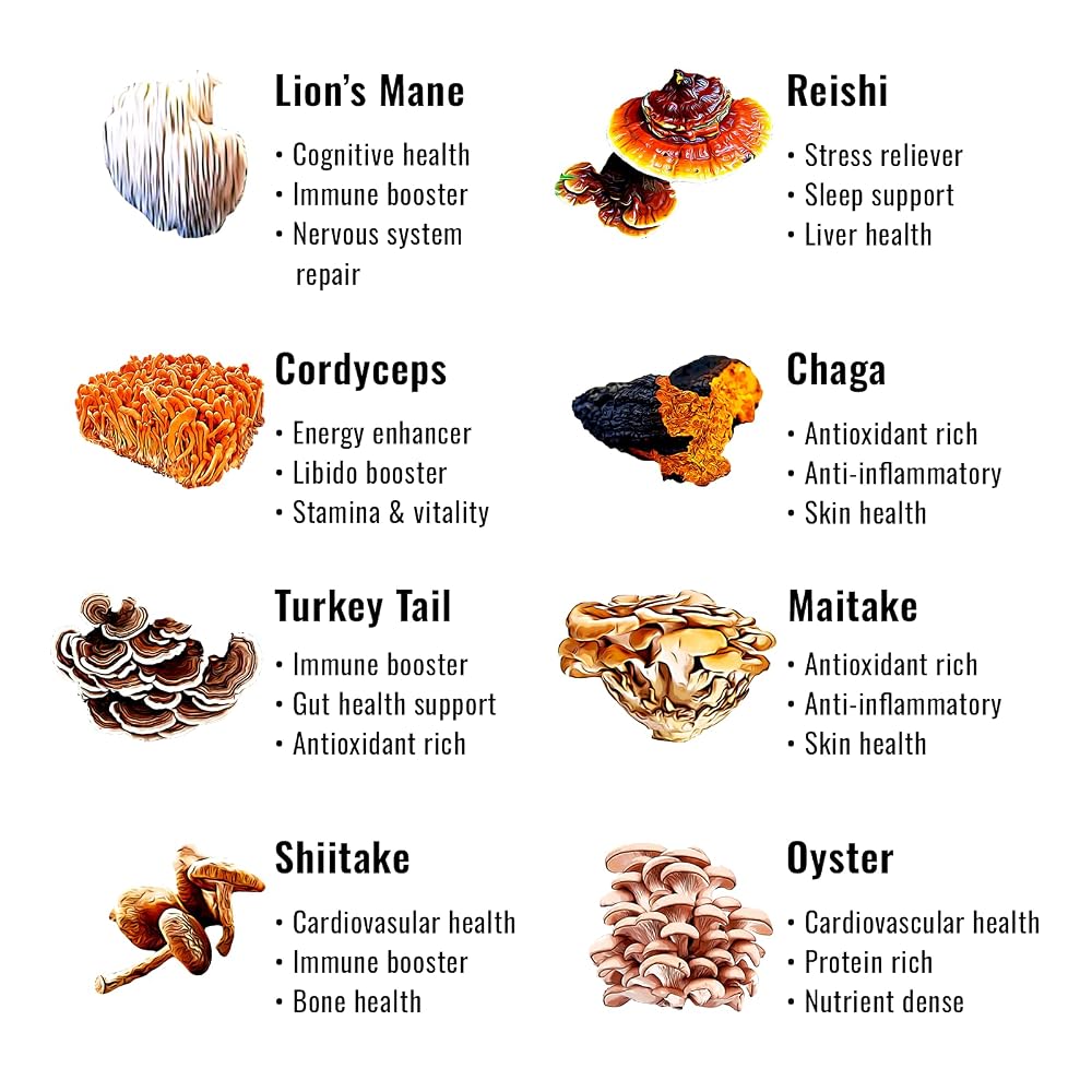 Power-Ups Mushroom Gummies with Lion's Mane & Reishi - 60 Count - image 5
