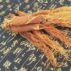 Generic Red Ginseng Roots Whole Root Pieces - 100 Grams - image 3