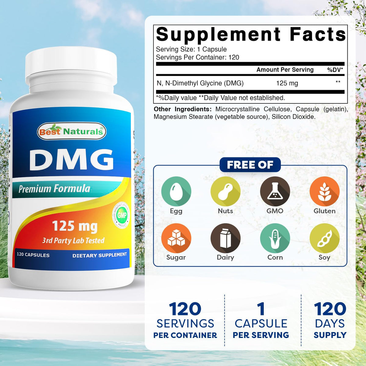 Best Naturals DMG 125 mg - 120 Capsules - image 2