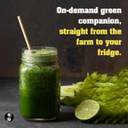 JRINK by Purée Organic Celery Juice