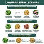 Fuenvegtal Polypodium Leucotomos Gummies Skin & Immune Support - 60 Gummies - image 4
