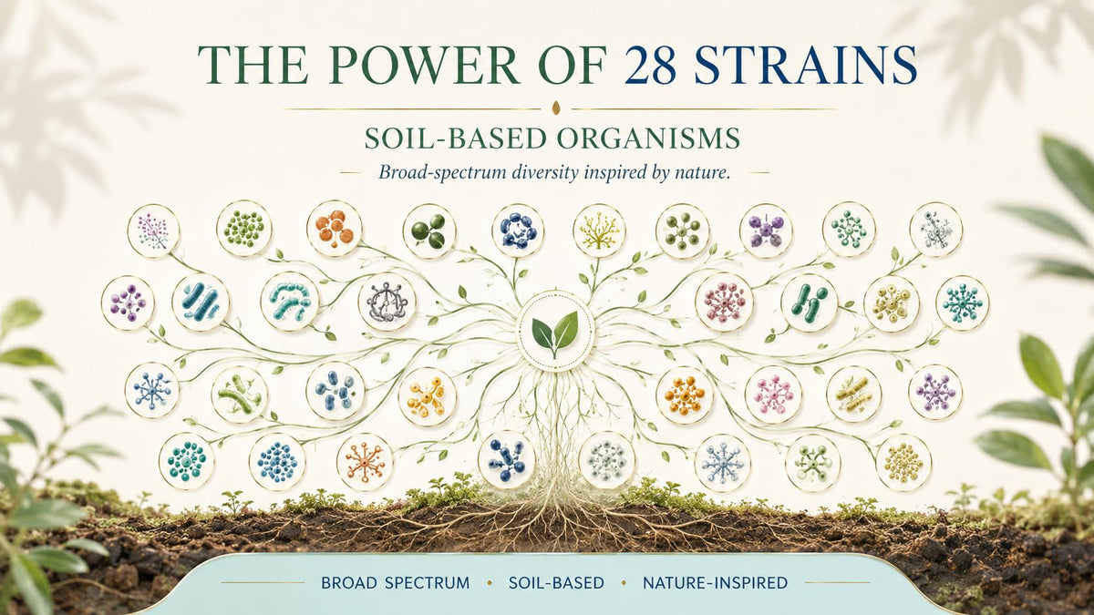 Prescript-Assist Light Soil Probiotic 28 Strains - 60 Capsules - image 3