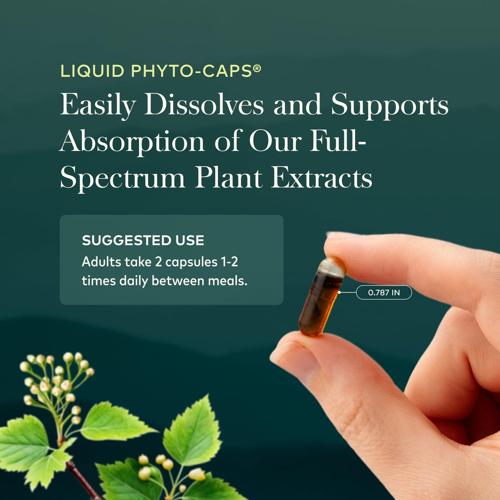 Gaia Herbs Black Seed Oil Immune Support - 60 Vegan Capsules - image 6