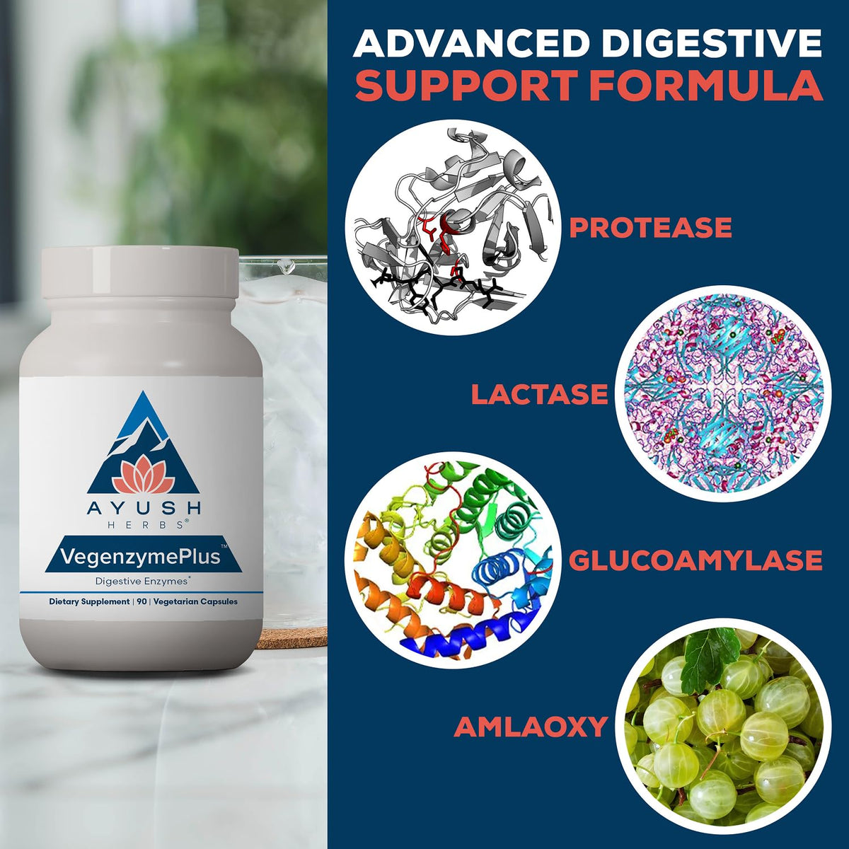 Ayush Herbs VegenzymePlus Digestive Enzymes - 90 Capsules - image 4