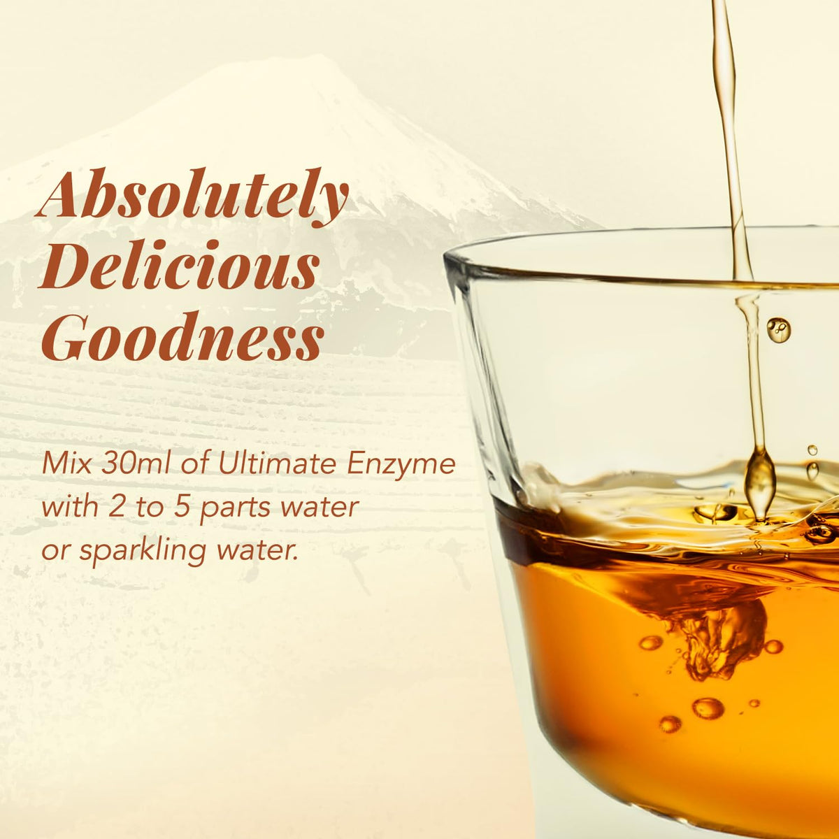 AFC Japan Digestive Ultimate Enzyme Digestive Relief - 24.3 Fl Oz - image 4