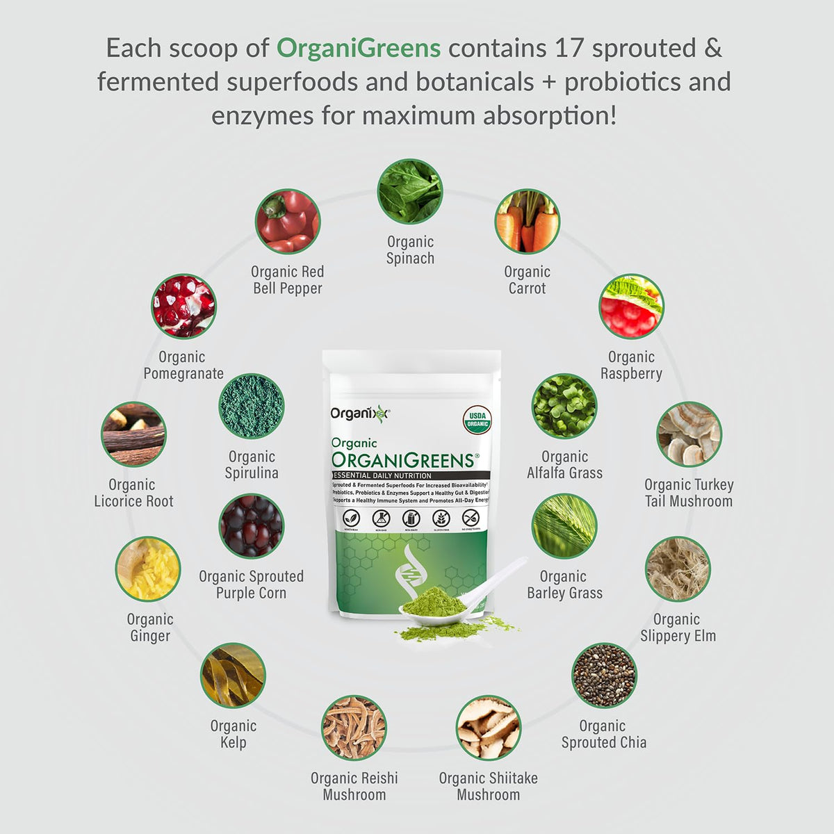 Organixx OrganiGreens Superfood Powder with Probiotics - 10oz - image 2
