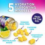 Nature's Nutrition Hydration Electrolyte Gummies - Daily Liquid